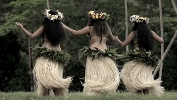 Bailarines hula realizando al aire libre — Vídeos de Stock