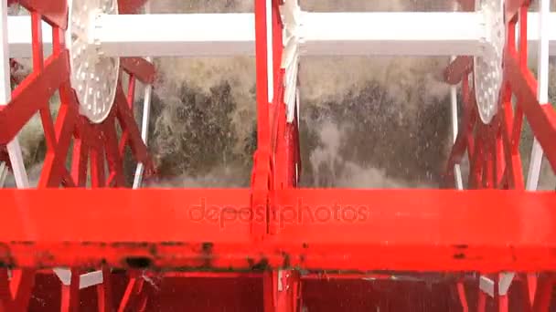 Barco con ruedas de paleta girando a lo largo del Mississippi — Vídeos de Stock