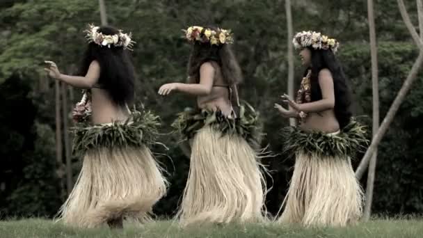 Polynesische dansers onderhoudend in kostuums — Stockvideo