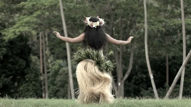 Bailarina polinesia entretenida en traje — Vídeos de Stock