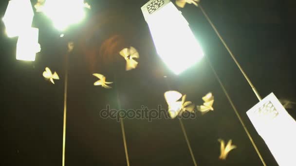 Insect vleugels verlichte op nacht — Stockvideo