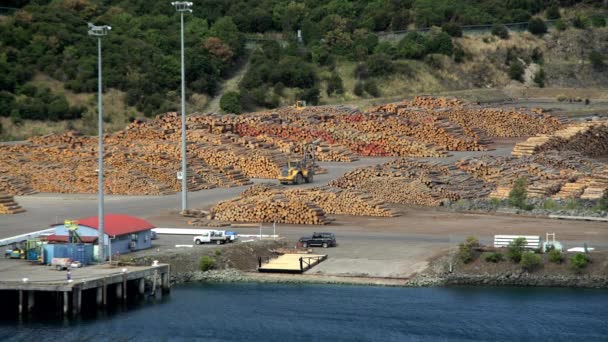 Agarrador de troncos en el astillero de deforestación — Vídeos de Stock