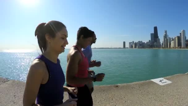 Amigos corriendo por la aptitud — Vídeo de stock