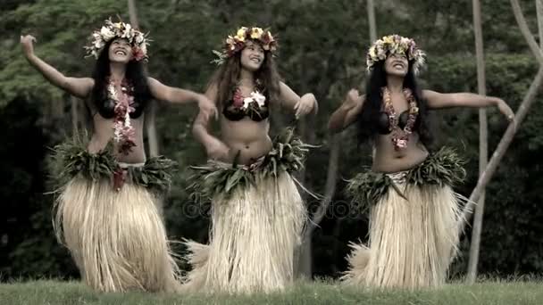 Bailarines hula realizando al aire libre — Vídeo de stock