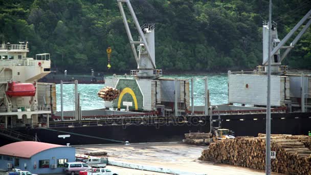 Log-grabber op ontbossing houtzagerij — Stockvideo