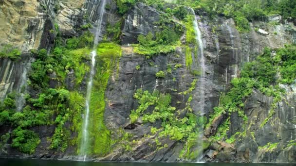 Cascadas y vegetación en Milford Sound — Vídeos de Stock