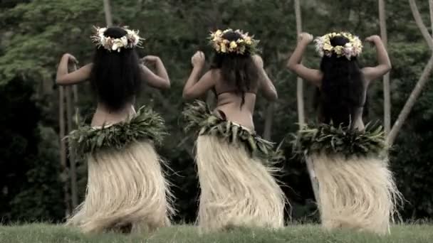 Femmes tahitiennes dansant — Video