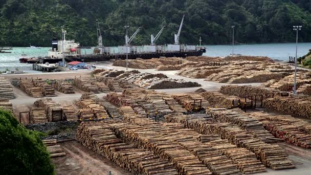 Agarrador de troncos en el astillero de deforestación — Vídeos de Stock