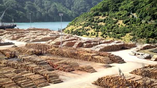 Holzplatz mit Greifholzaufladung — Stockvideo