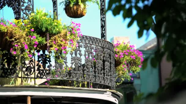 フランス ニユー ・ オーリンズの都心の地区 — ストック動画