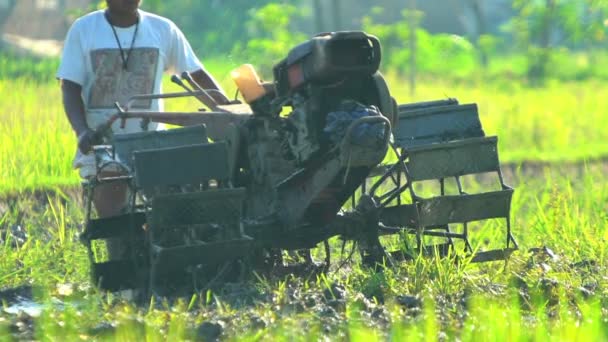 Landwirt pflügt Feld um — Stockvideo