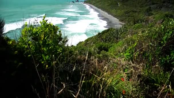 Shoreline of Tasman Sea — Stock Video