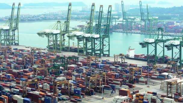 Asiatiska frakt containerhamn — Stockvideo