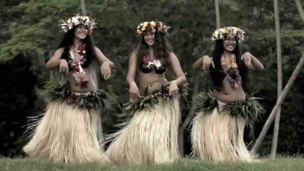 Chicas polinesias bailando hula — Vídeo de stock