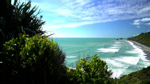 Litoral do Mar de Tasman — Vídeo de Stock