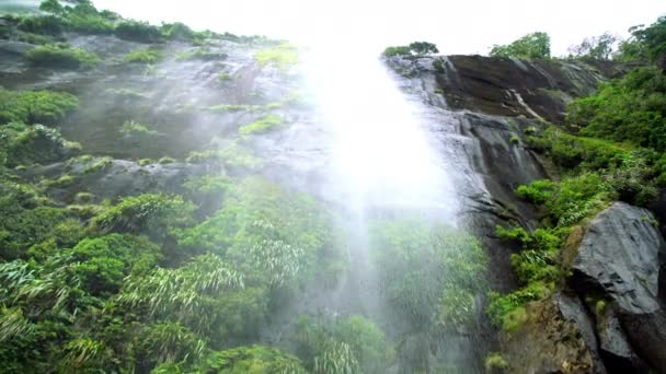 Vodopád v údolí Milford Sound — Stock video