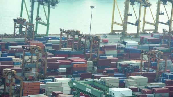 Azjatycka Port żeglugi pojemnik — Wideo stockowe