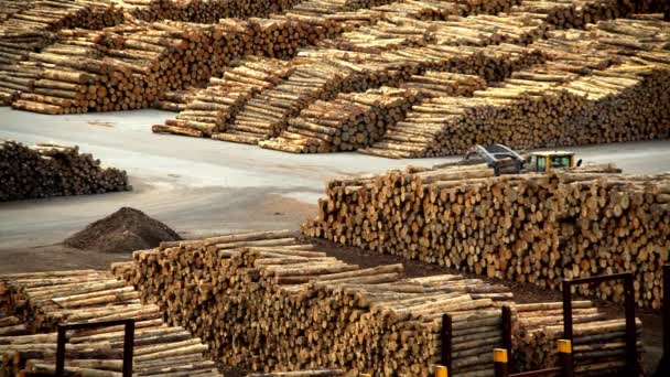 Механический захват груза из древесины — стоковое видео