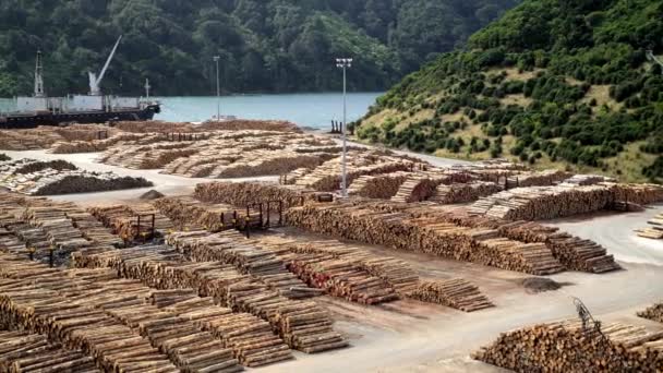 Holzlager im Hafen von Picton, Neuseeland — Stockvideo