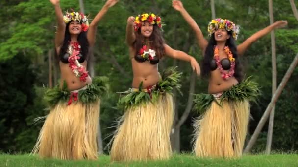 Danseurs polynésiens divertissants en costumes — Video