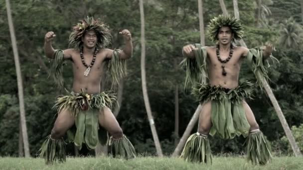 Danseurs de Polynésie divertissant en costumes — Video