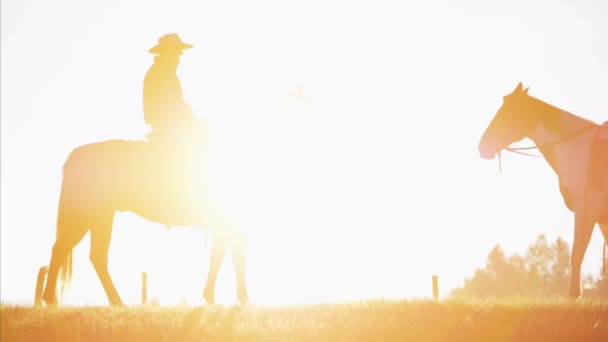 Gün batımında kovboy biniciler — Stok video