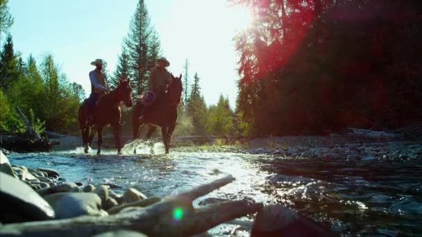 Cowboys equitação cavalos — Vídeo de Stock