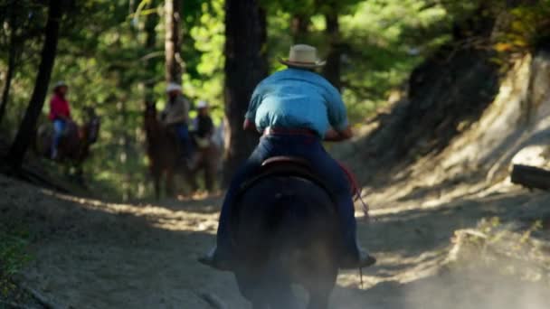 Cowboy galopando em Roundup — Vídeo de Stock