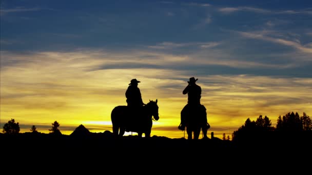 Cowboy ryttare i vildmarksområde — Stockvideo