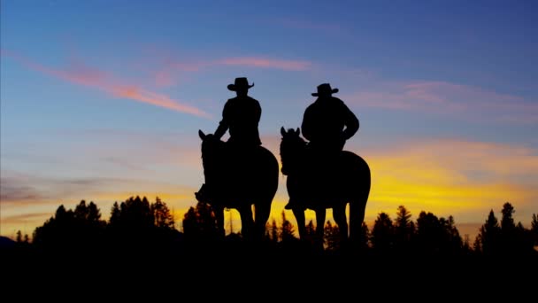 Cowboy Riders na área selvagem — Vídeo de Stock