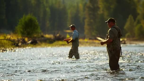 Línea de fundición de pescador en el río de agua dulce — Vídeos de Stock