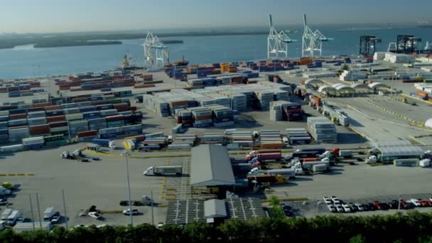 Miami mezinárodní přepravní kontejner port — Stock video