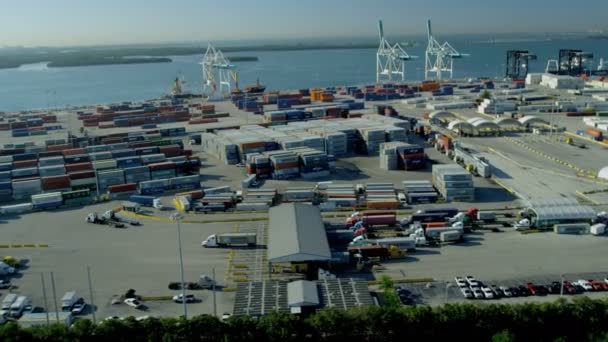 Porto de contêiner de transporte internacional Miami — Vídeo de Stock