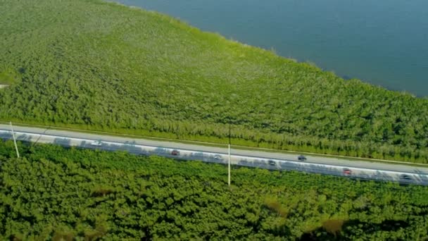 Rota US 1 trânsito cruzando pântano Key Largo — Vídeo de Stock