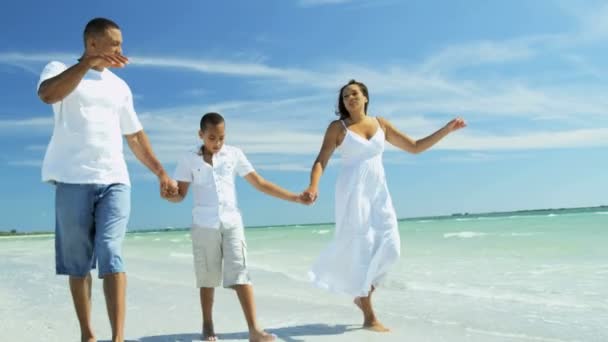 在海滩上散步的家人 — 图库视频影像