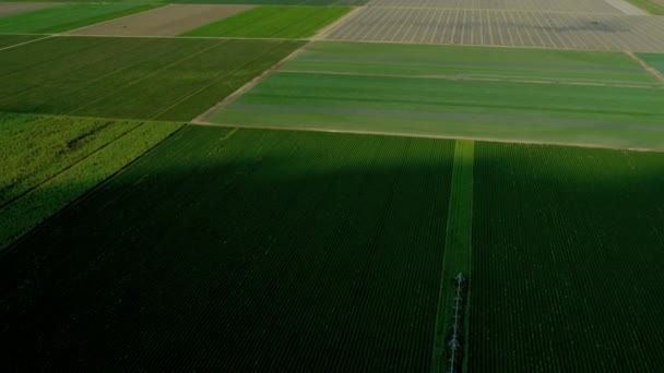 Tarım tarım arazi — Stok video