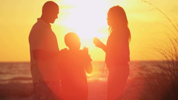 Familie heeft plezier op het strand — Stockvideo