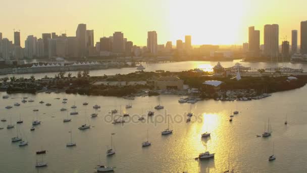 Atardecer de Jungle Island MacArthur vehículo Calzada — Vídeo de stock