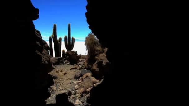 Salar de Uyuni Nationale Reserve — Stockvideo