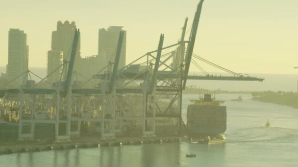 Globala container frakt Port, Miami, — Stockvideo