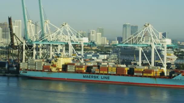 Puerto de envío global de contenedores, Miami , — Vídeos de Stock