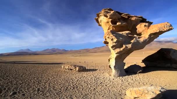 I Rock trädet i Eduardo Avaroa National Reserve — Stockvideo