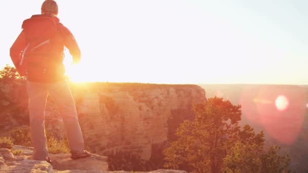 Kobieta oglądanie Grand Canyon — Wideo stockowe