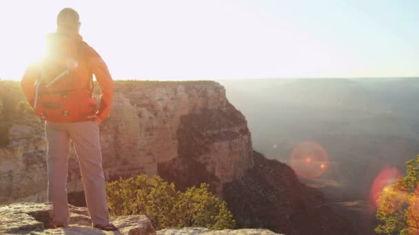 Kobieta oglądanie Grand Canyon — Wideo stockowe