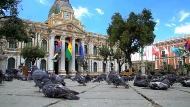 Bolivijský metropolitní katedrála — Stock video