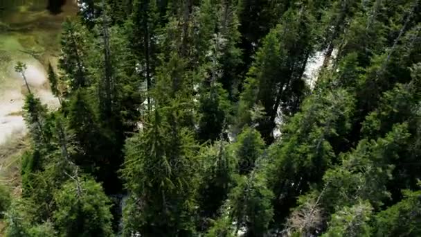 Lago canadiense y área silvestre — Vídeo de stock