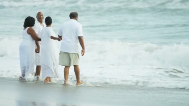 Vänner som promenerar på stranden — Stockvideo