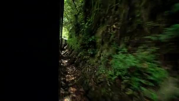 PeruRail Carriage view along the Hiram Bingham Railroad — стоковое видео