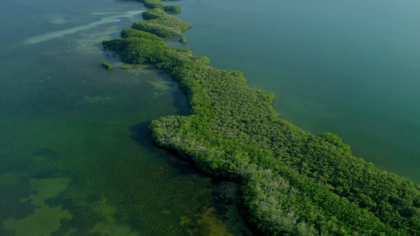 Тропический остров, покрытый богатой плодородной растительностью — стоковое видео