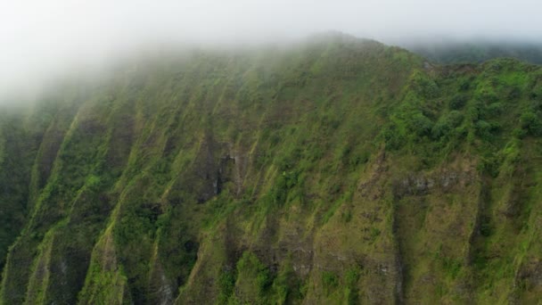 緑で覆われた沿岸溶岩崖 — ストック動画
